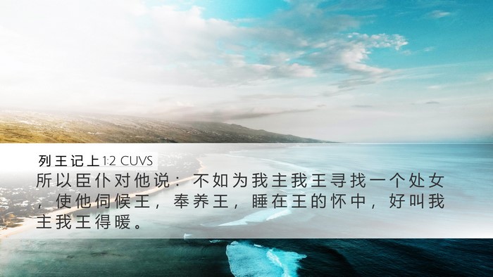 列 王 记 上 1:2 CUVS Desktop Wallpaper - 所 以 臣 仆 对 他 说 ： 不 如 为 我 - Desktop Bible Verse Wallpaper