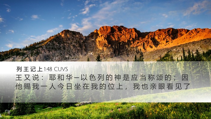 列 王 记 上 1:48 CUVS Bible Verse Image