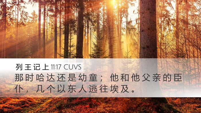 列 王 记 上 11:17 CUVS Desktop Wallpaper - 那 时 哈 达 还 是 幼 童 ； 他 和 他 - Desktop Bible Verse Wallpaper