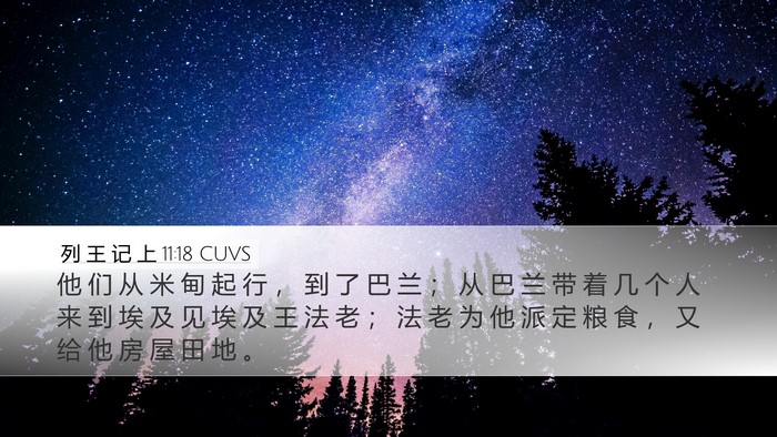 列 王 记 上 11:18 CUVS Desktop Wallpaper - 他 们 从 米 甸 起 行 ， 到 了 巴 兰 - Desktop Bible Verse Wallpaper
