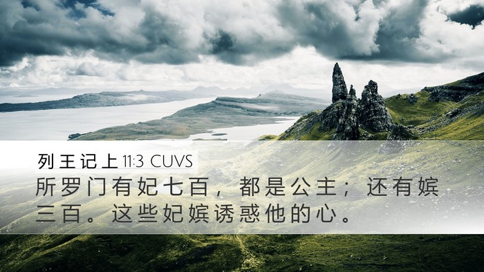 列 王 记 上 11:3 CUVS Desktop Wallpaper - 所 罗 门 有 妃 七 百 ， 都 是 公 主 - Desktop Bible Verse Wallpaper