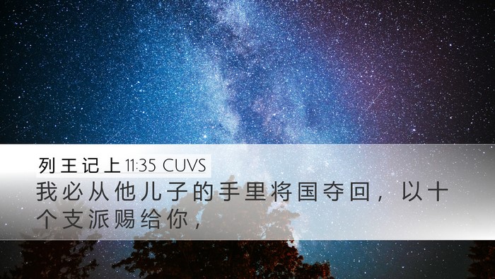 列 王 记 上 11:35 CUVS Desktop Wallpaper - 我 必 从 他 儿 子 的 手 里 将 国 夺 - Desktop Bible Verse Wallpaper