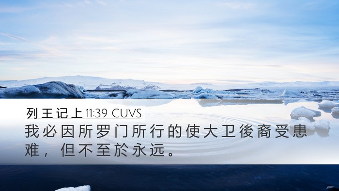 列 王 记 上 11:39 CUVS Bible Verse Image