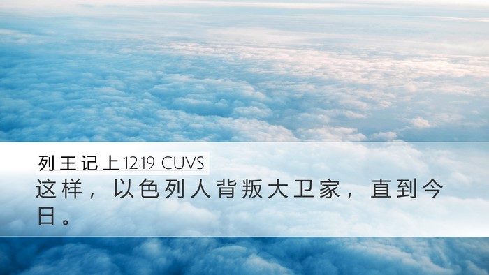 列 王 记 上 12:19 CUVS Bible Verse Image