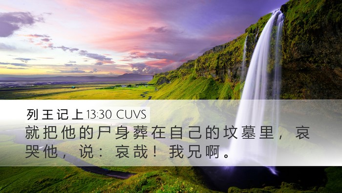 列 王 记 上 13:30 CUVS Bible Verse Image