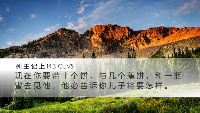 列 王 记 上 14:3 CUVS Bible Verse Image