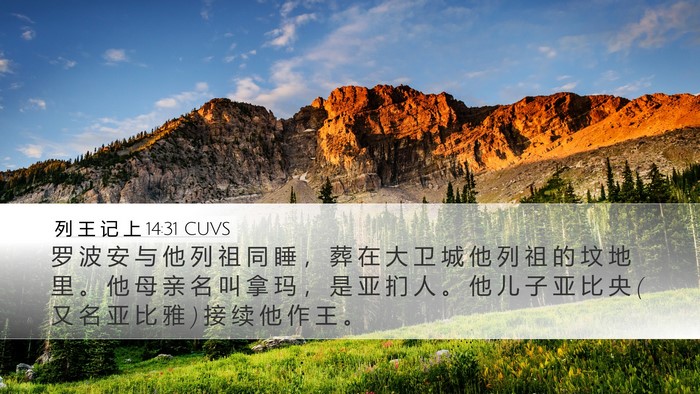 列 王 记 上 14:31 CUVS Bible Verse Image
