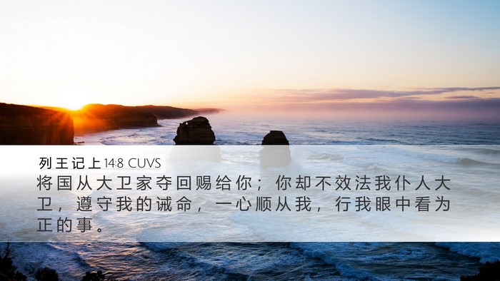 列 王 记 上 14:8 CUVS Bible Verse Image