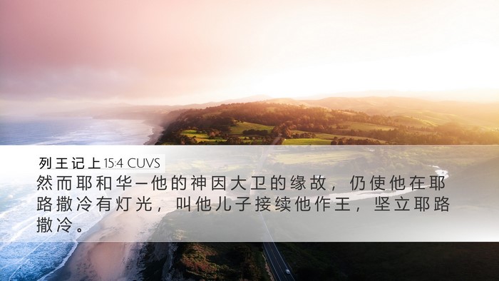 列 王 记 上 15:4 CUVS Bible Verse Image