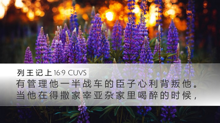列 王 记 上 16:9 CUVS Bible Verse Image
