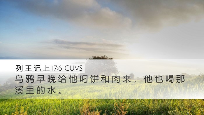 列 王 记 上 17:6 CUVS Bible Verse Image