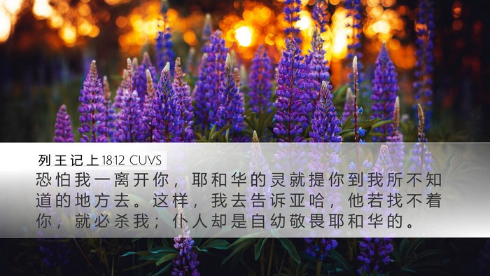 列 王 记 上 18:12 CUVS Bible Verse Image