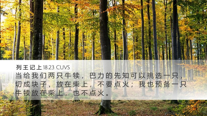 列 王 记 上 18:23 CUVS Bible Verse Image