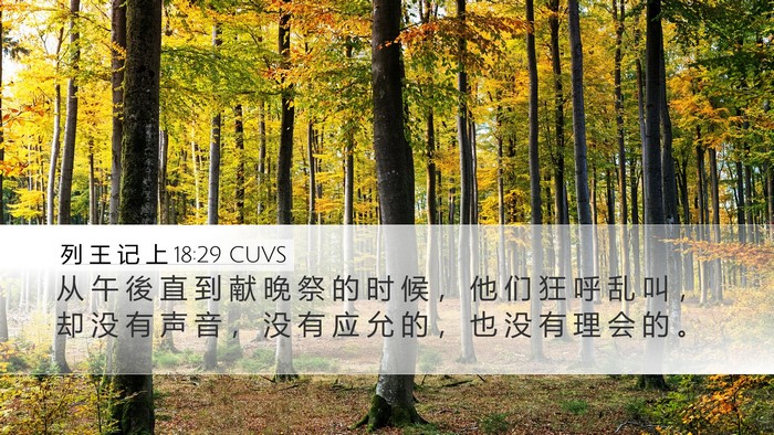 列 王 记 上 18:29 CUVS Bible Verse Image
