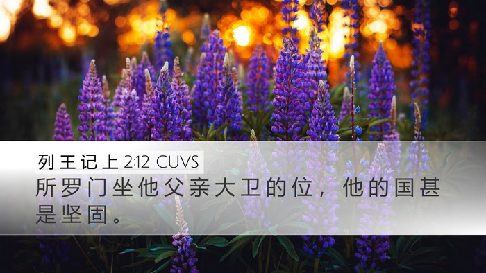 列 王 记 上 2:12 CUVS Bible Verse Image