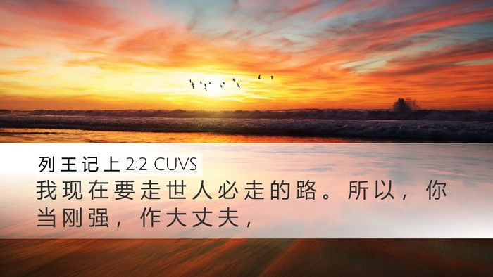 列 王 记 上 2:2 CUVS Bible Verse Image
