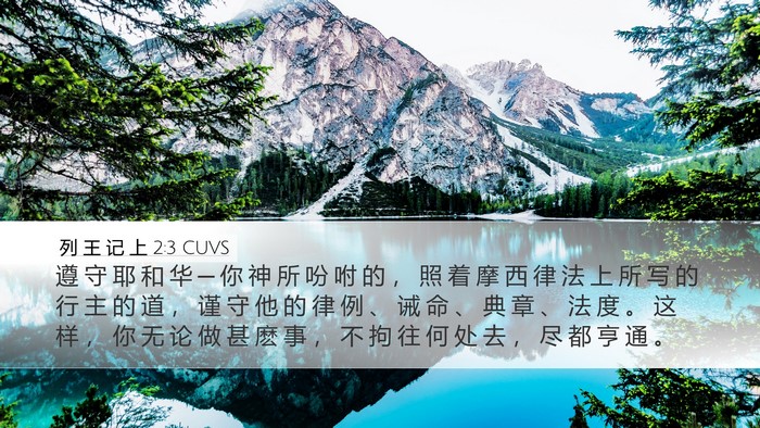 列 王 记 上 2:3 CUVS Bible Verse Image
