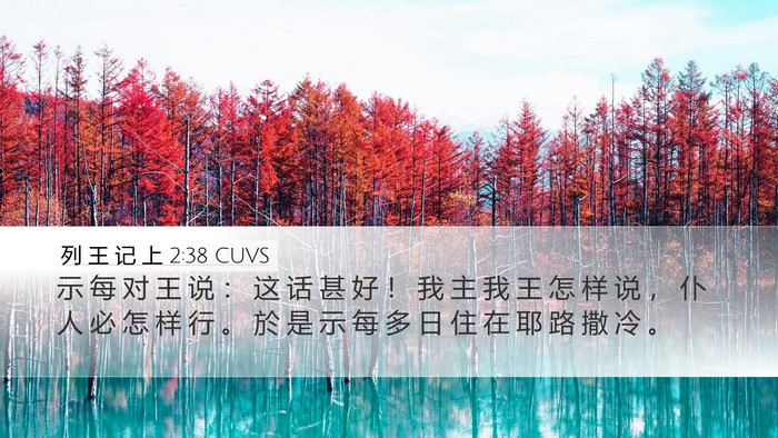 列 王 记 上 2:38 CUVS Desktop Wallpaper - 示 每 对 王 说 ： 这 话 甚 好 ！ 我 - Desktop Bible Verse Wallpaper