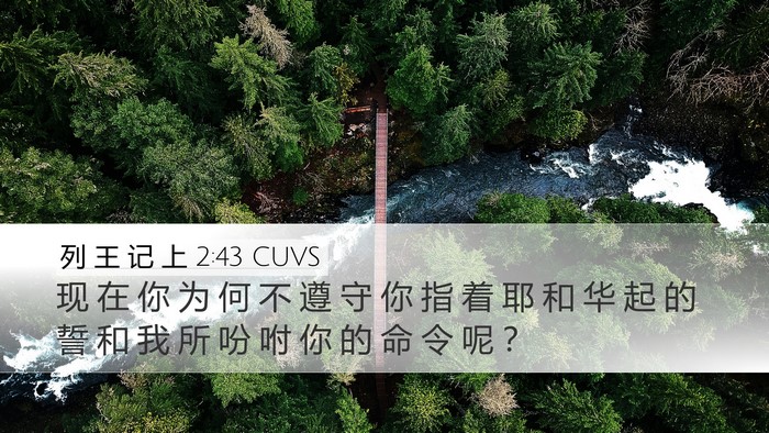 列 王 记 上 2:43 CUVS Bible Verse Image