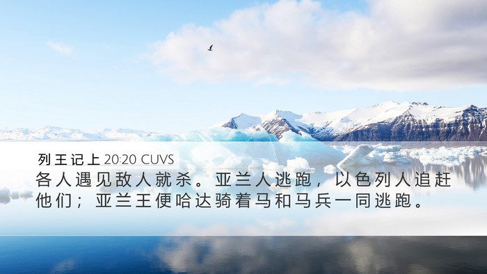 列 王 记 上 20:20 CUVS Bible Verse Image