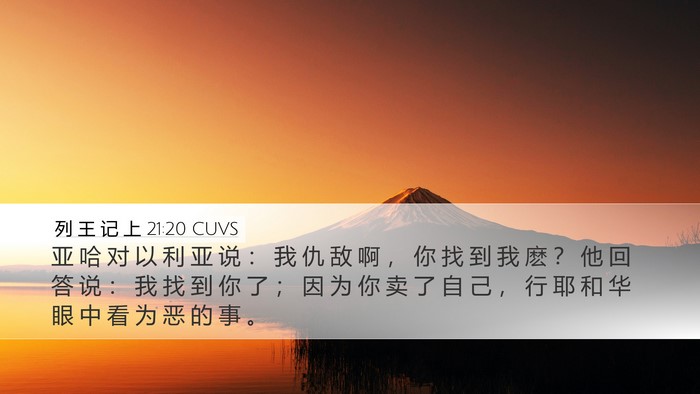 列 王 记 上 21:20 CUVS Bible Verse Image