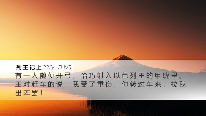 列 王 记 上 22:34 CUVS Bible Verse Image