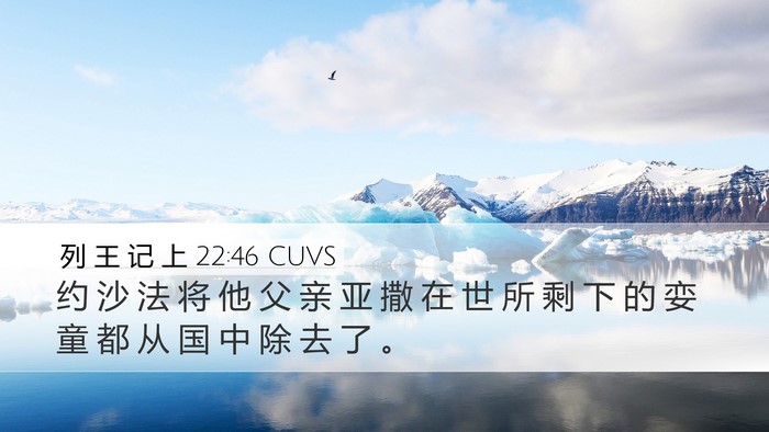 列 王 记 上 22:46 CUVS Bible Verse Image