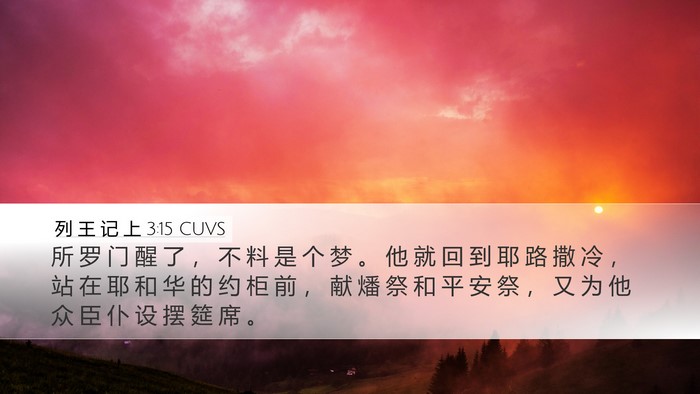 列 王 记 上 3:15 CUVS Desktop Wallpaper - 所 罗 门 醒 了 ， 不 料 是 个 梦 。 - Desktop Bible Verse Wallpaper
