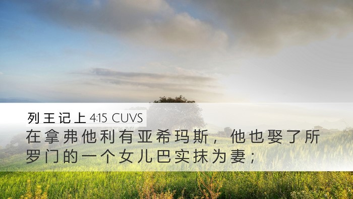 列 王 记 上 4:15 CUVS Desktop Wallpaper - 在 拿 弗 他 利 有 亚 希 玛 斯 ， 他 - Desktop Bible Verse Wallpaper