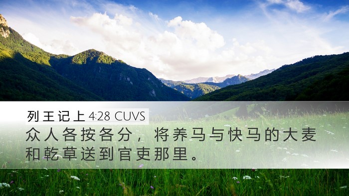 列 王 记 上 4:28 CUVS Desktop Wallpaper - 众 人 各 按 各 分 ， 将 养 马 与 快 - Desktop Bible Verse Wallpaper
