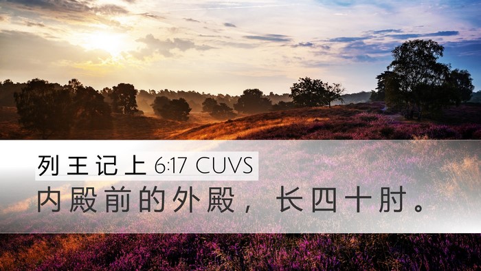 列 王 记 上 6:17 CUVS Desktop Wallpaper - 内 殿 前 的 外 殿 ， 长 四 十 肘 - Desktop Bible Verse Wallpaper