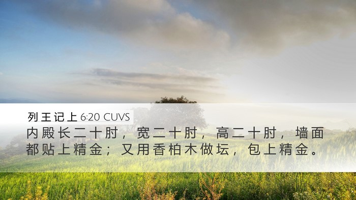 列 王 记 上 6:20 CUVS Bible Verse Image