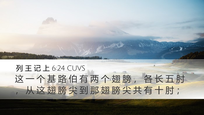 列 王 记 上 6:24 CUVS Desktop Wallpaper - 这 一 个 基 路 伯 有 两 个 翅 膀 ， - Desktop Bible Verse Wallpaper