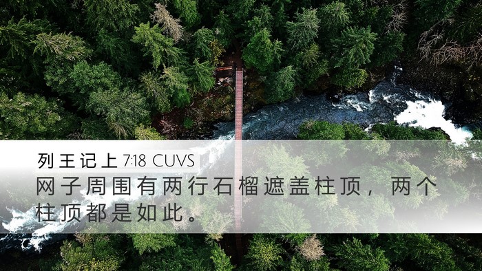 列 王 记 上 7:18 CUVS Desktop Wallpaper - 网 子 周 围 有 两 行 石 榴 遮 盖 柱 - Desktop Bible Verse Wallpaper
