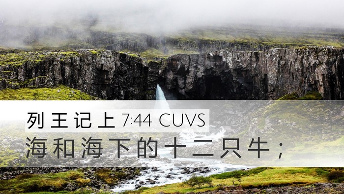列 王 记 上 7:44 CUVS Desktop Wallpaper - 海 和 海 下 的 十 二 只 牛 - Desktop Bible Verse Wallpaper