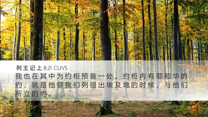 列 王 记 上 8:21 CUVS Bible Verse Image