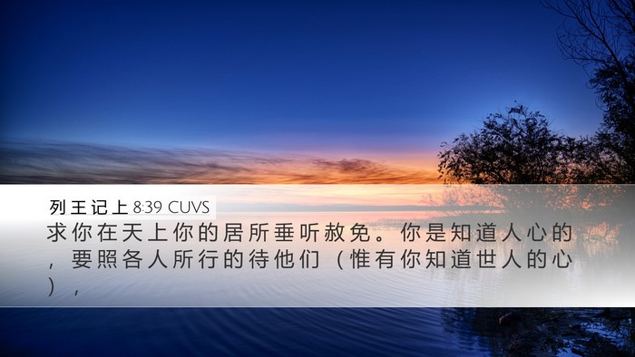 列 王 记 上 8:39 CUVS Bible Verse Image