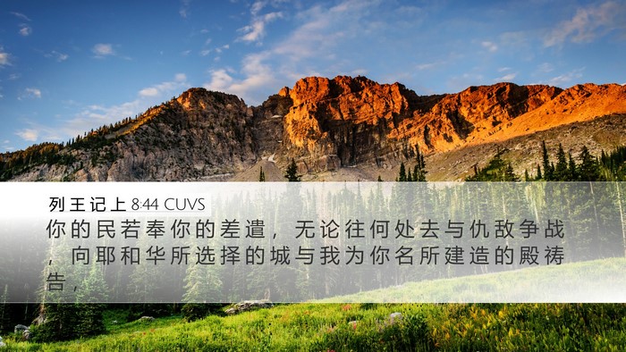 列 王 记 上 8:44 CUVS Bible Verse Image