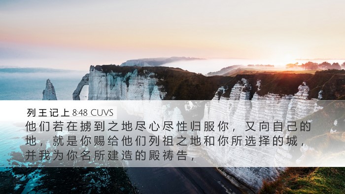列 王 记 上 8:48 CUVS Bible Verse Image