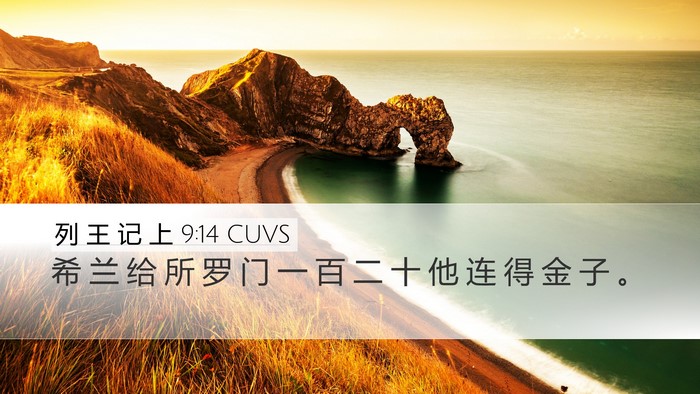 列 王 记 上 9:14 CUVS Bible Verse Image