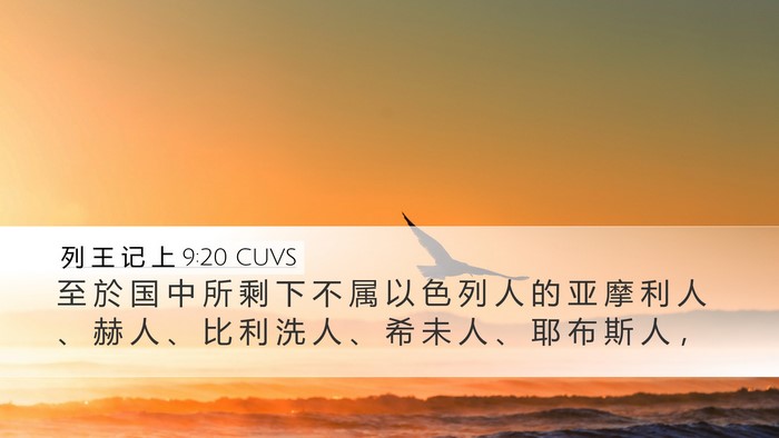 列 王 记 上 9:20 CUVS Bible Verse Image