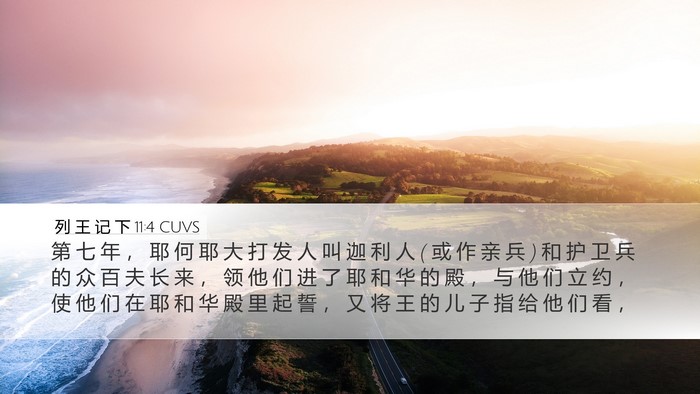 列 王 记 下 11:4 CUVS Bible Verse Image