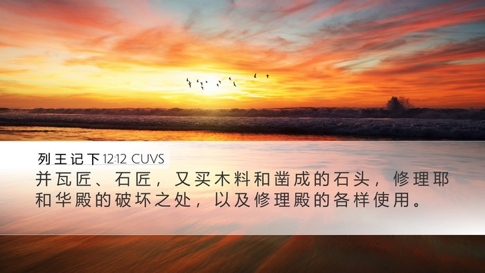 列 王 记 下 12:12 CUVS Bible Verse Image
