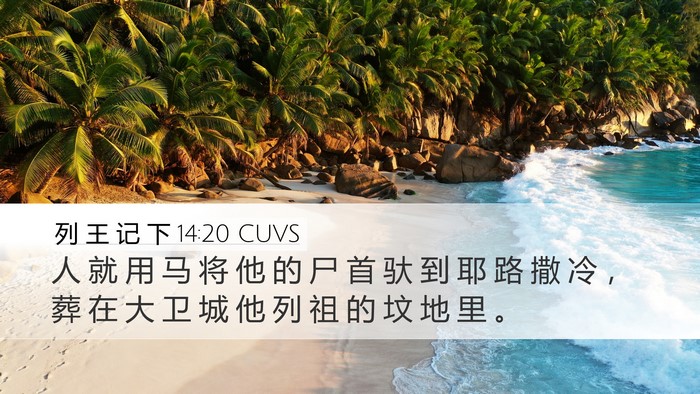 列 王 记 下 14:20 CUVS Desktop Wallpaper - 人 就 用 马 将 他 的 尸 首 驮 到 耶 - Desktop Bible Verse Wallpaper