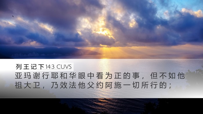 列 王 记 下 14:3 CUVS Bible Verse Image