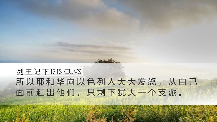 列 王 记 下 17:18 CUVS Bible Verse Image