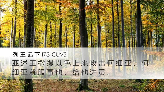 列 王 记 下 17:3 CUVS Bible Verse Image