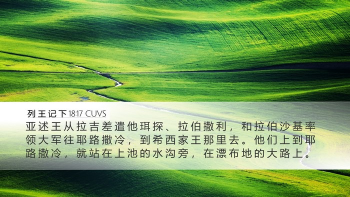 列 王 记 下 18:17 CUVS Bible Verse Image