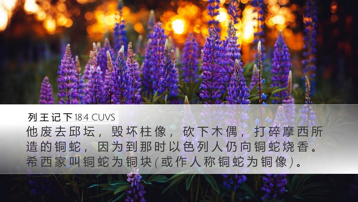 列 王 记 下 18:4 CUVS Bible Verse Image