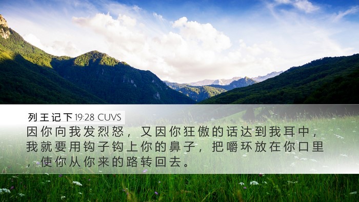 列 王 记 下 19:28 CUVS Bible Verse Image